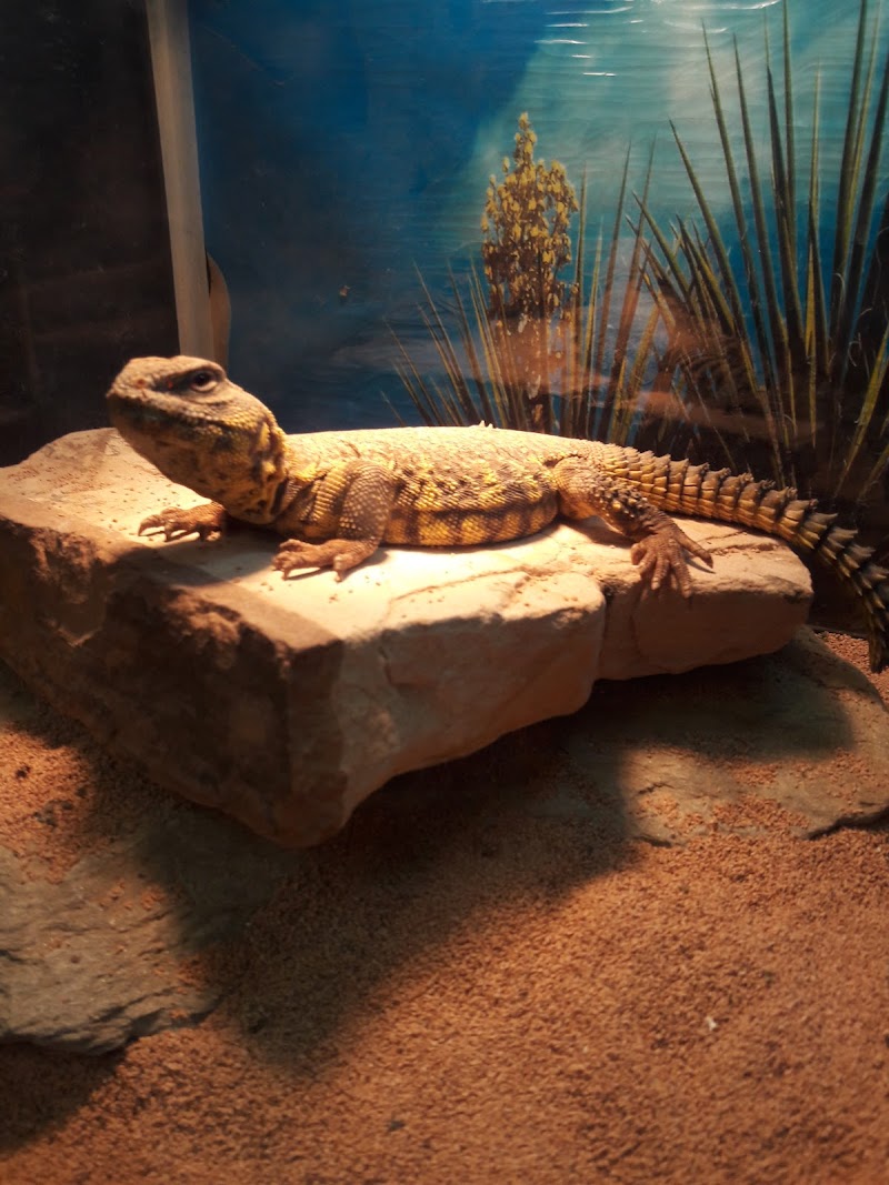 EP Exotics - Photo 3