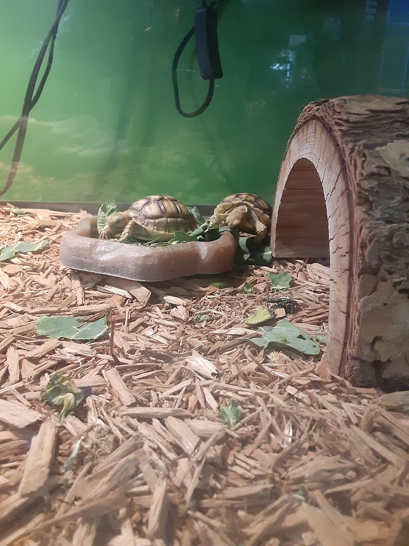 EP Exotics - Photo 5