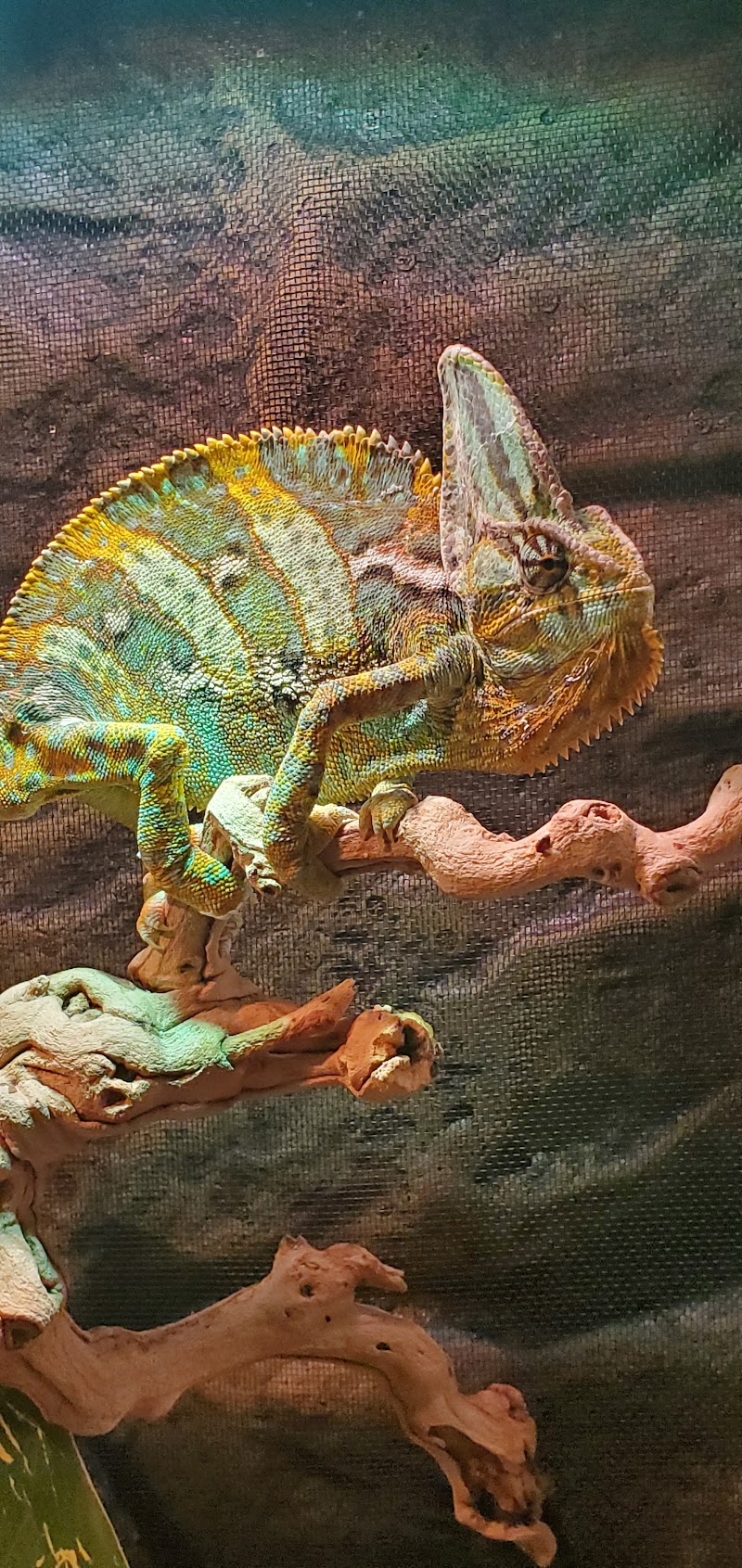 Wildlife Safari Animal Emporium, Inc. - Photo 2