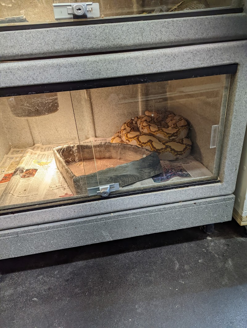 Wildlife Safari Animal Emporium, Inc. - Photo 3