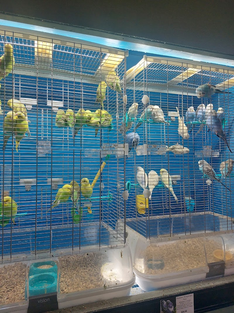 Wildlife Safari Animal Emporium, Inc. - Photo 5