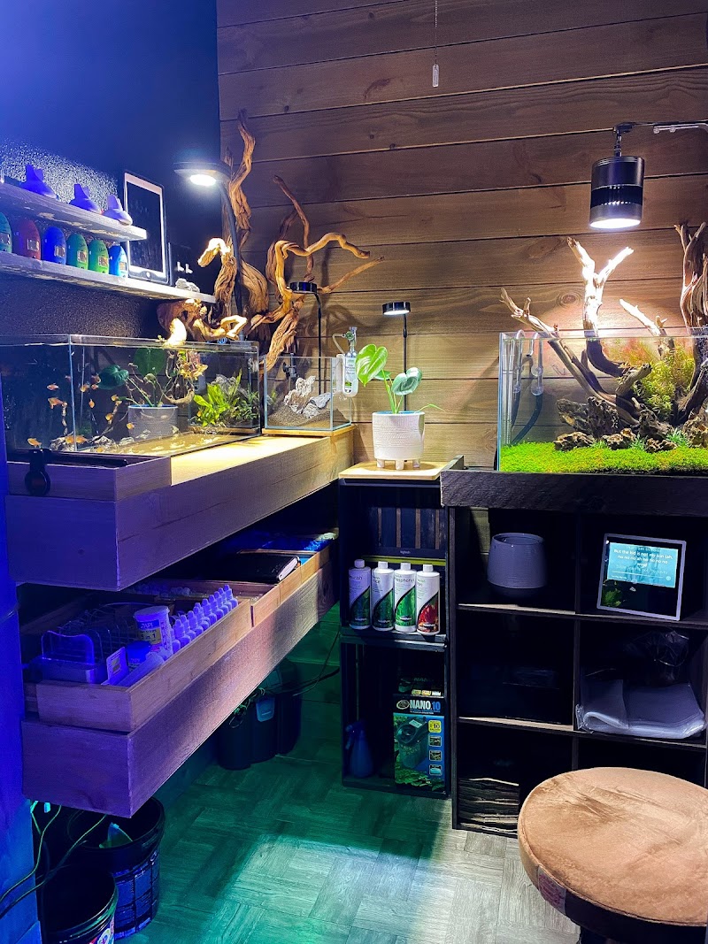 Reef-Licious LLC - Photo 2