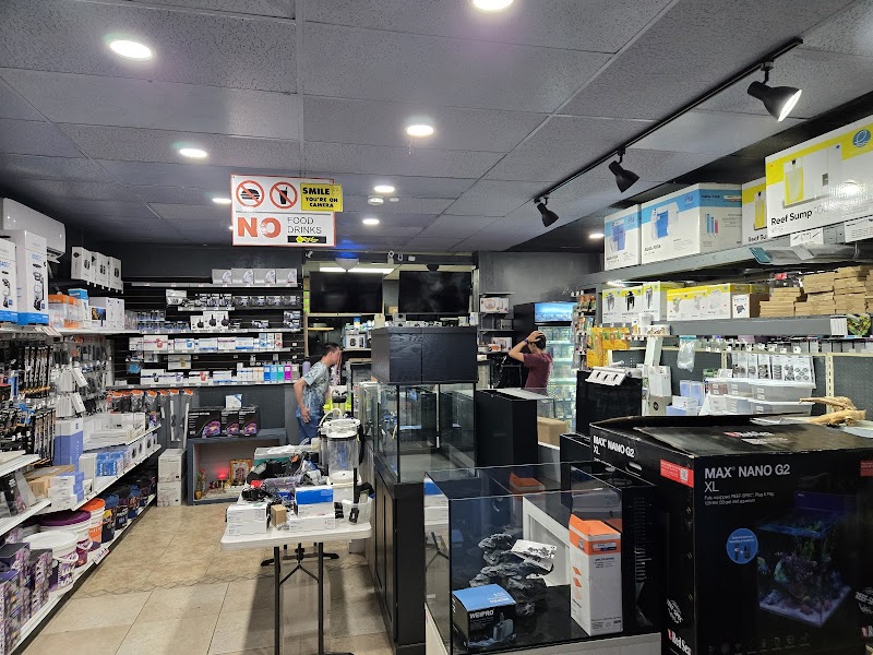 Reef-Licious LLC - Photo 4