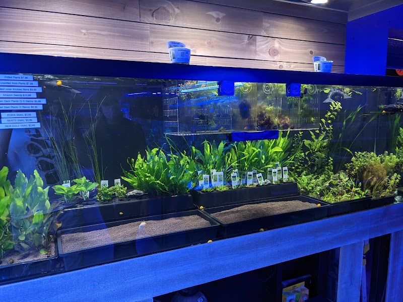 Reef-Licious LLC - Photo 5