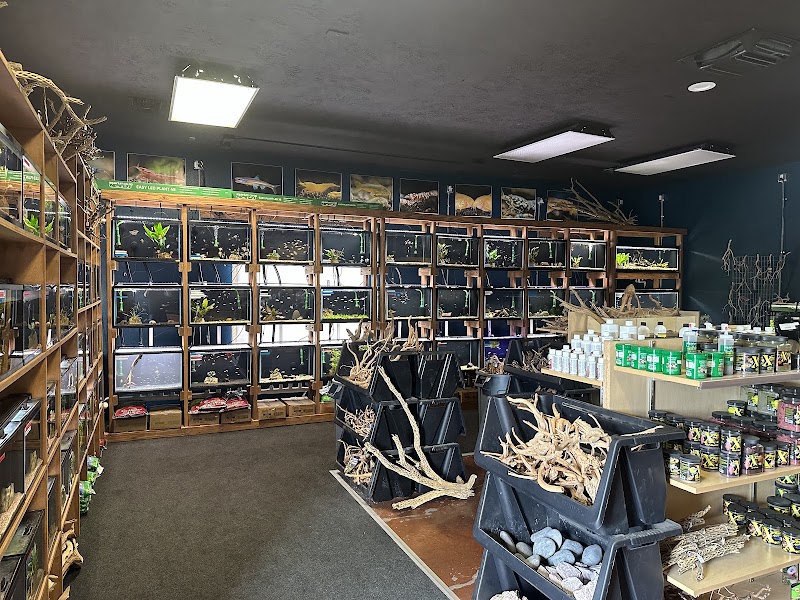The Fish Room - Photo 2