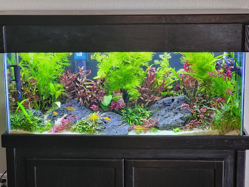The Fish Room - Photo 3