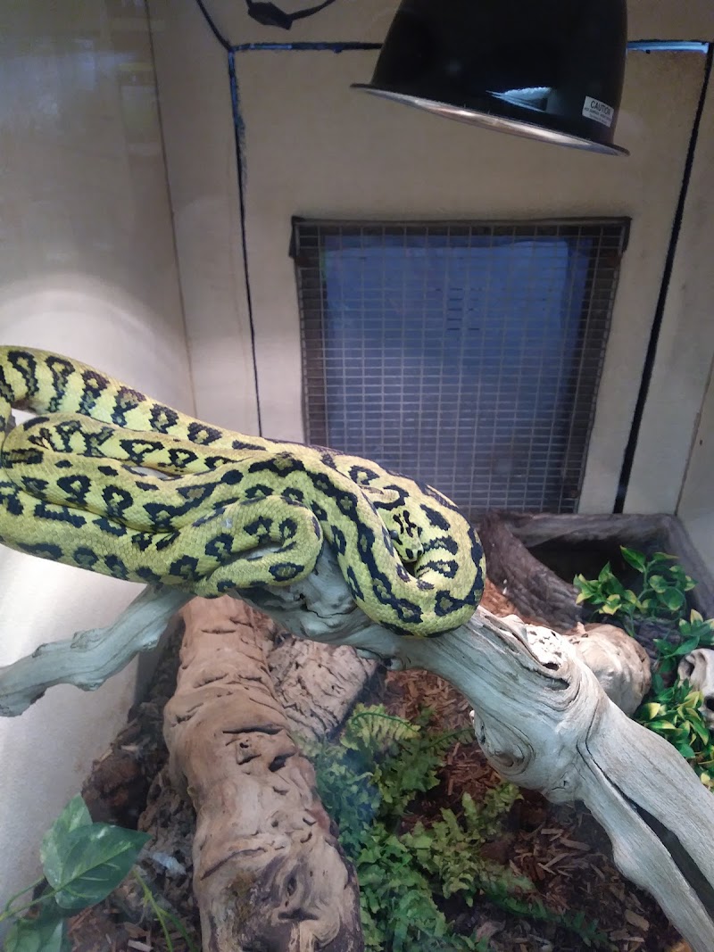 Clark's Pet Emporium - Photo 3