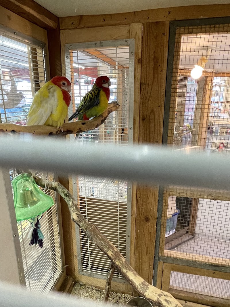 Clark's Pet Emporium - Photo 5