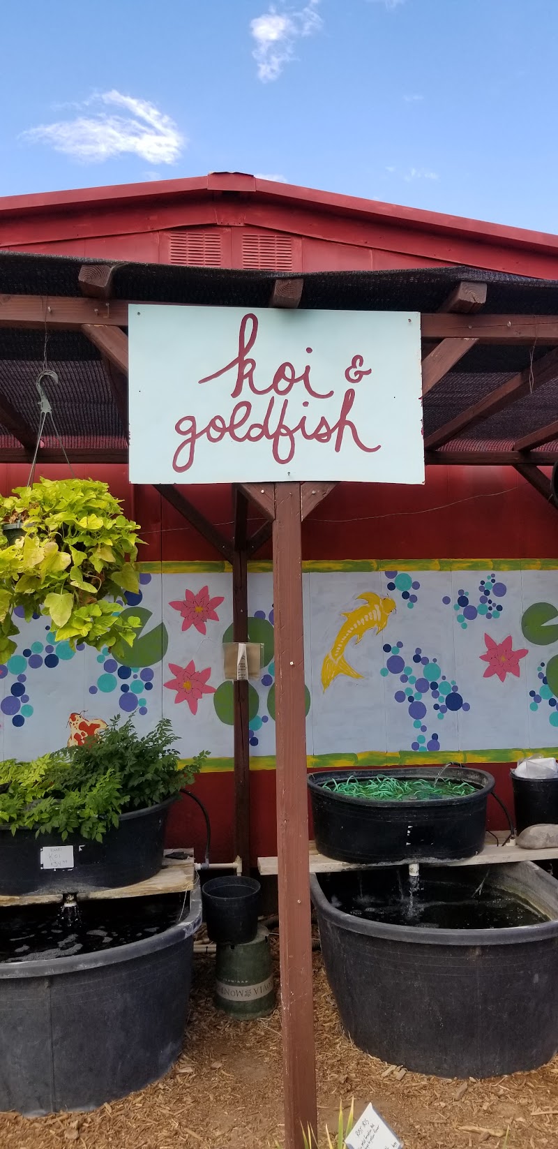 Albuquerque Water Gardens & Nursery - Photo 1