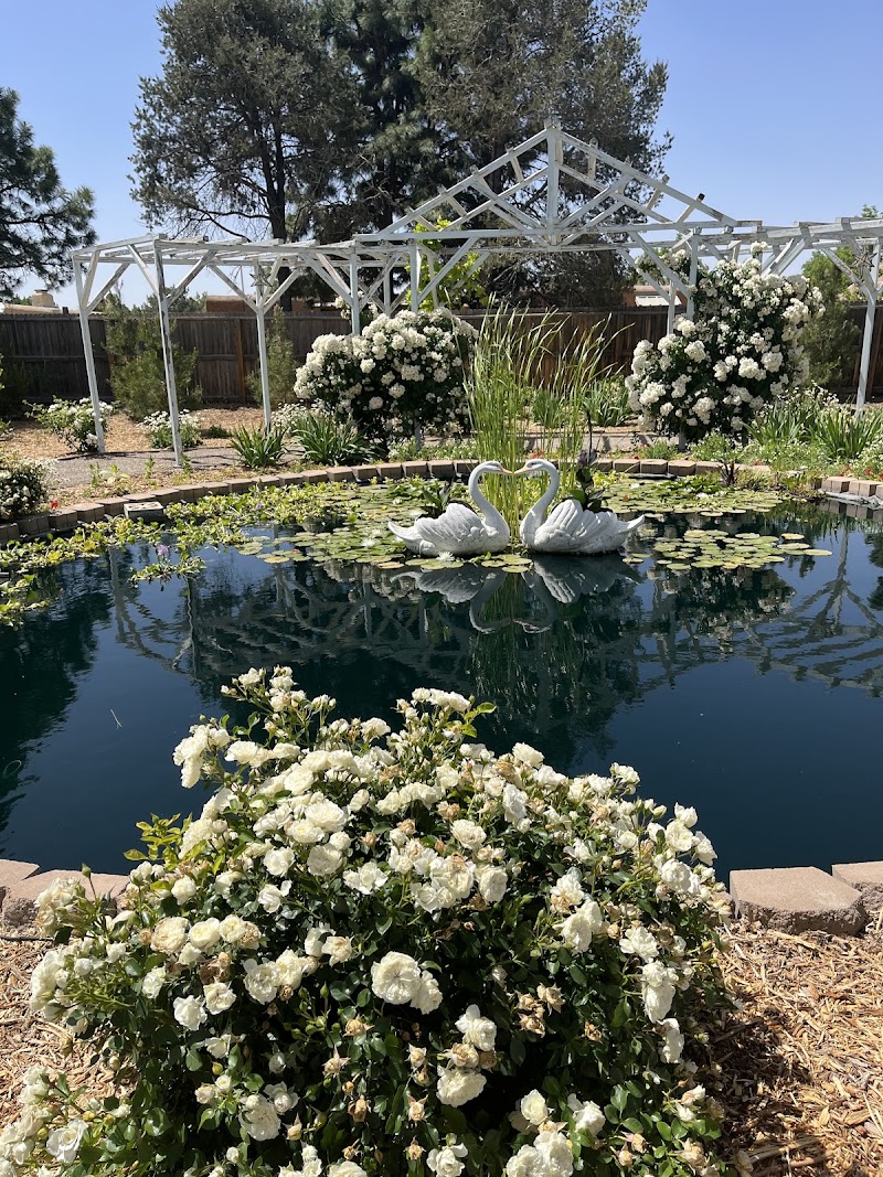 Albuquerque Water Gardens & Nursery - Photo 3