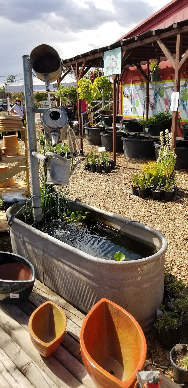 Albuquerque Water Gardens & Nursery - Photo 5
