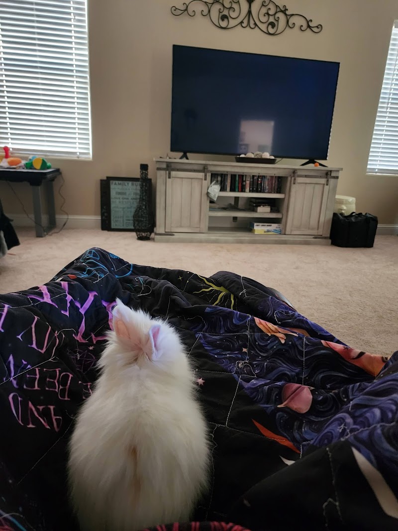 Acosta's Aquariums - Photo 1