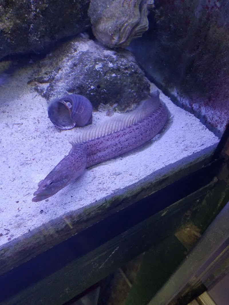 Acosta's Aquariums - Photo 2