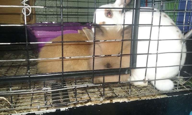 Acosta's Aquariums - Photo 4