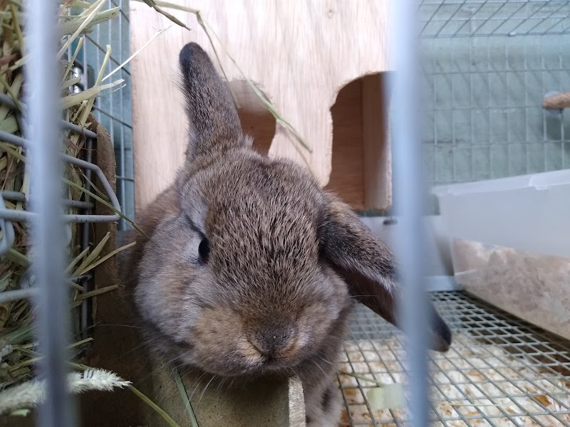 Acosta's Aquariums - Photo 5