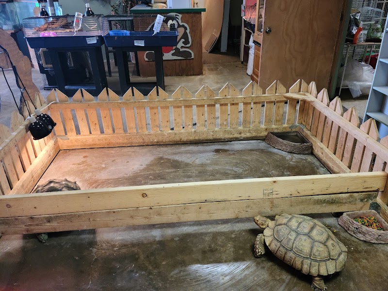 Village Pet & Supplies - Photo 1