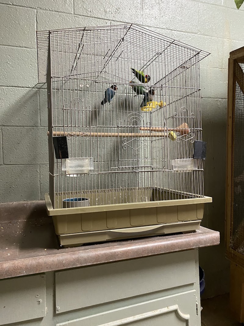 Village Pet & Supplies - Photo 2