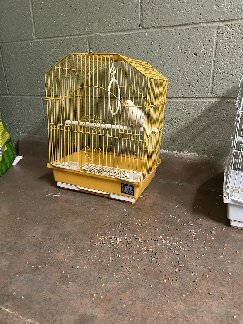 Village Pet & Supplies - Photo 3