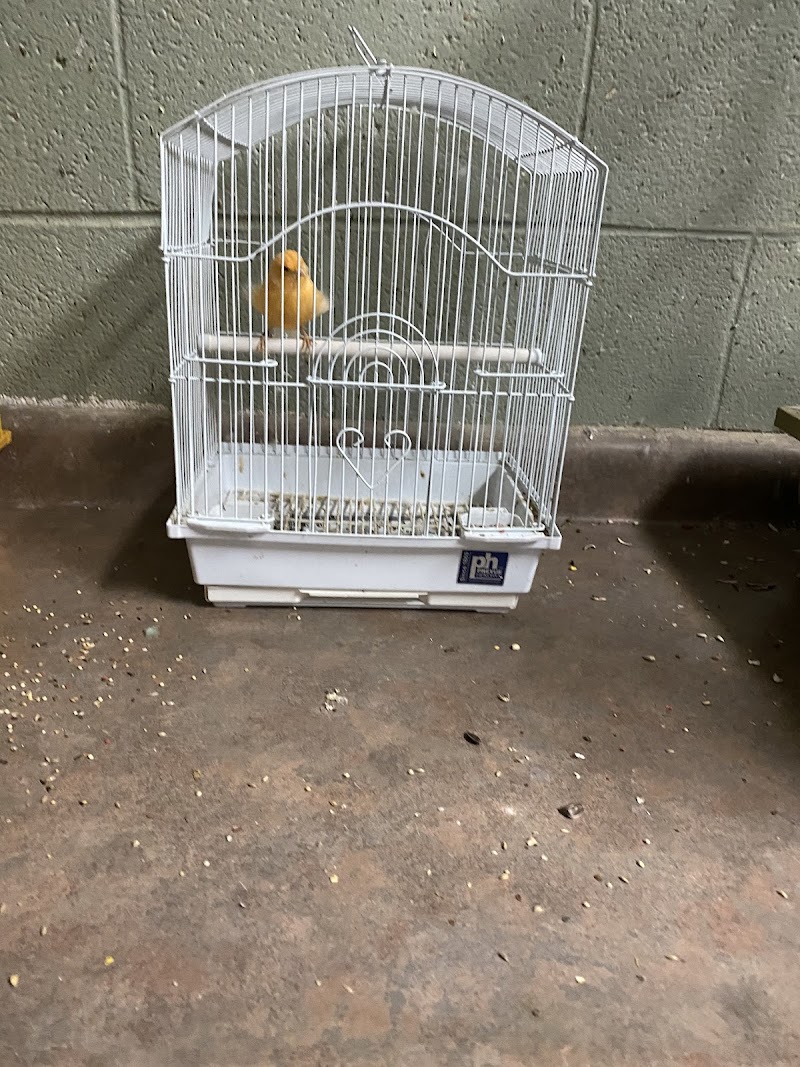 Village Pet & Supplies - Photo 5