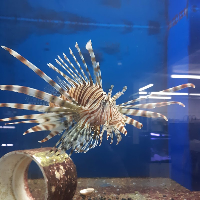 American Aquatics - Photo 5