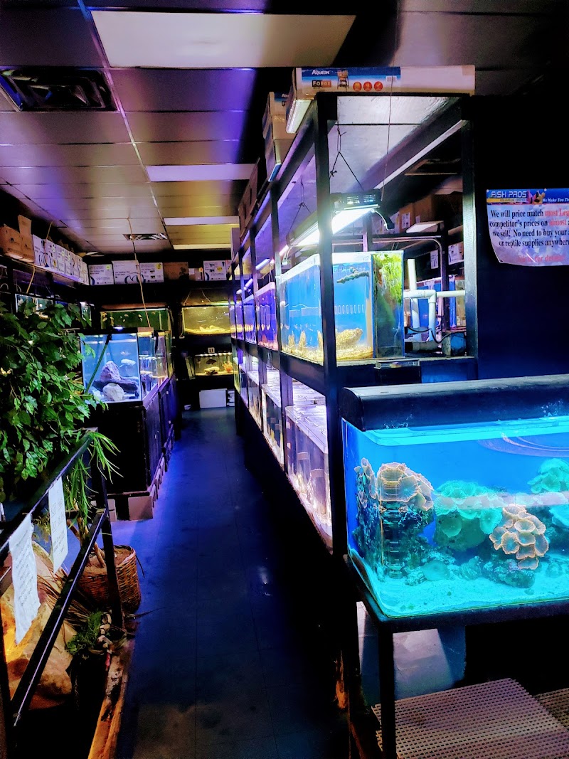 Fish Pro's Aquarium Center - Photo 2