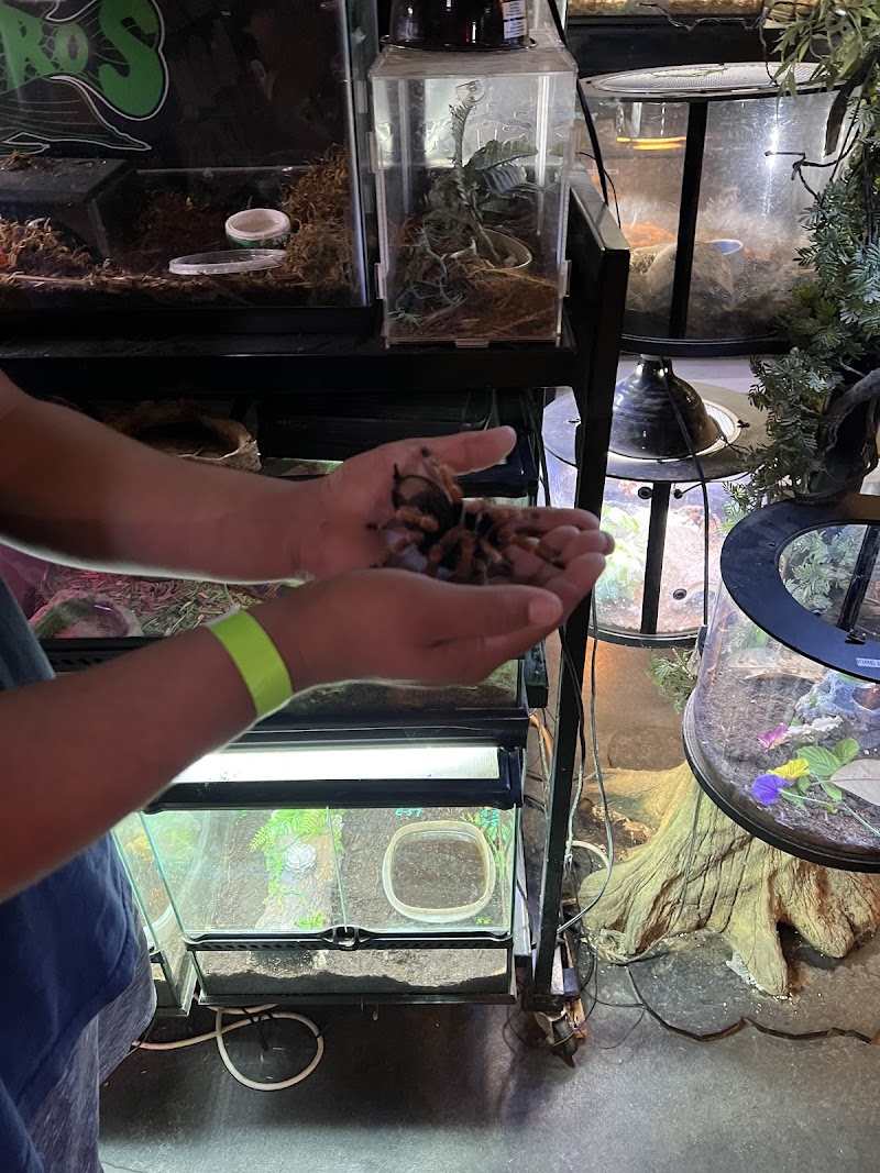 Fish Pro's Aquarium Center - Photo 4