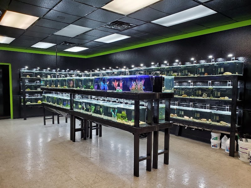 Fish Pro's Aquarium Center - Photo 5
