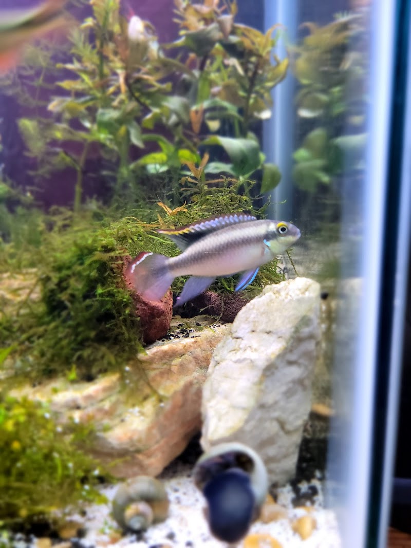 AJ Aquatics Inc - Photo 1