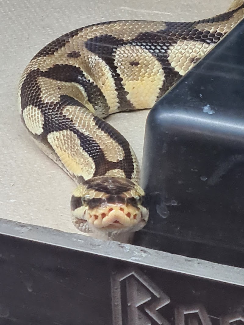 AJ Aquatics Inc - Photo 2