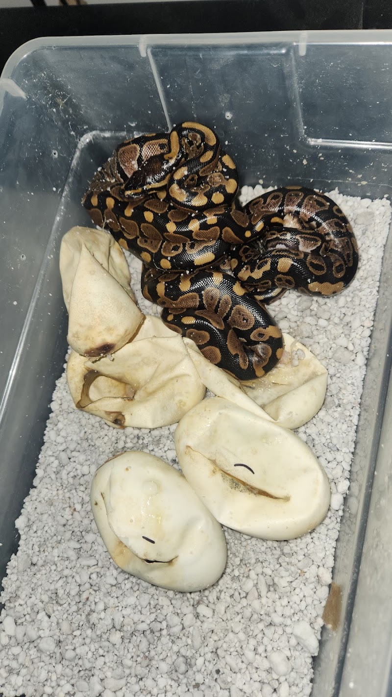 AJ Aquatics Inc - Photo 5