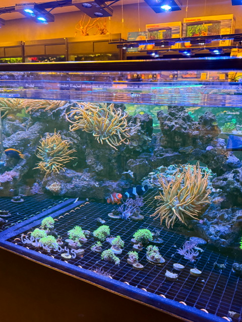 Hydronaut Aquatics - Photo 2