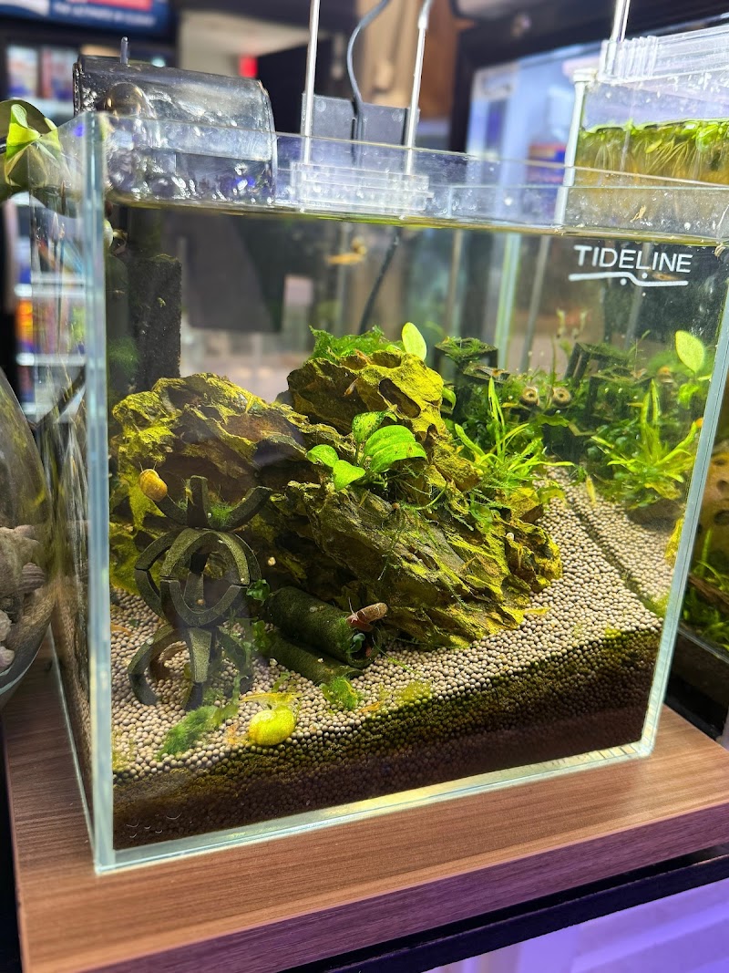 Hydronaut Aquatics - Photo 3