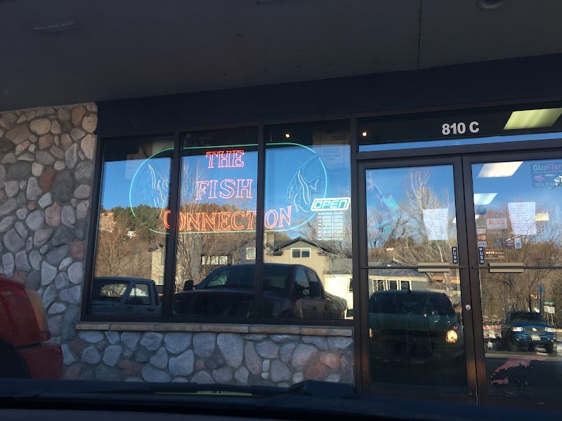 Fish Connection - Photo 1