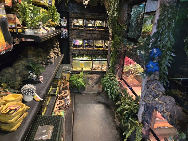 Fish Connection - Photo 3