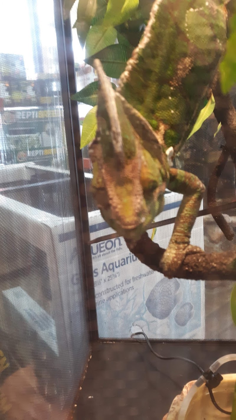 Fish Connection - Photo 4