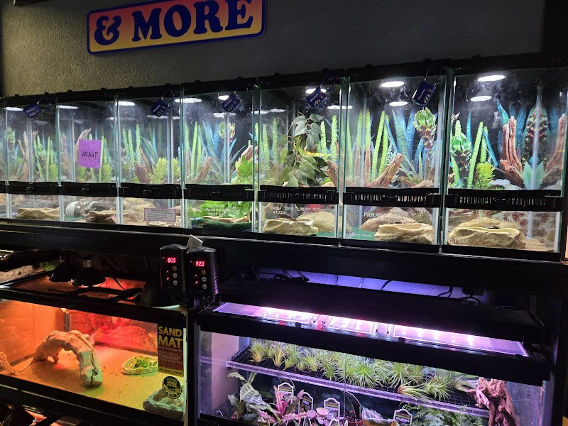 Fish Connection - Photo 5