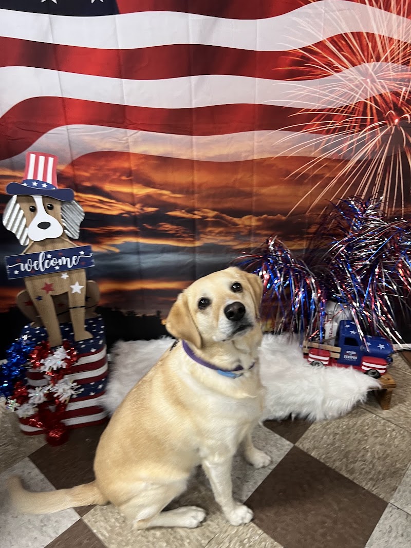 Ruff Haus Pet Supply - Photo 2