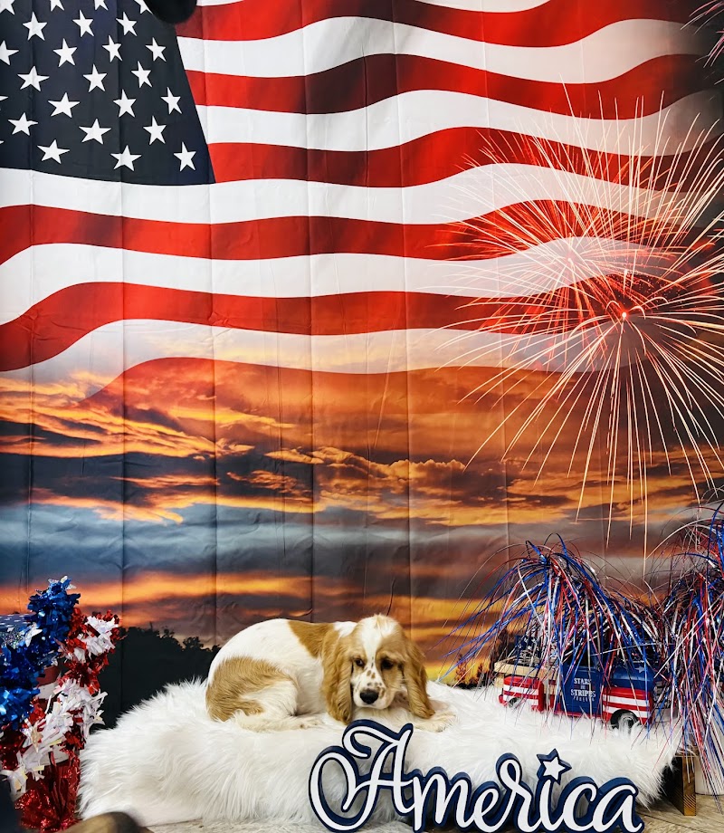 Ruff Haus Pet Supply - Photo 5