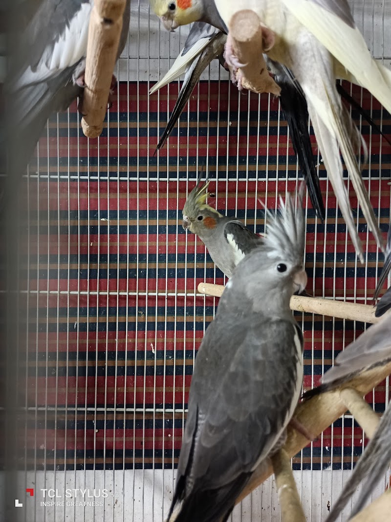 Tropical Fish N More - Photo 1