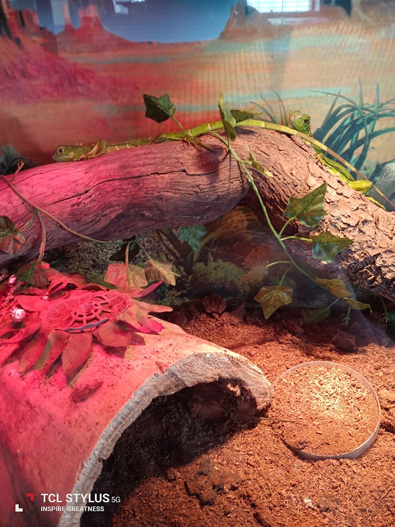 Tropical Fish N More - Photo 2