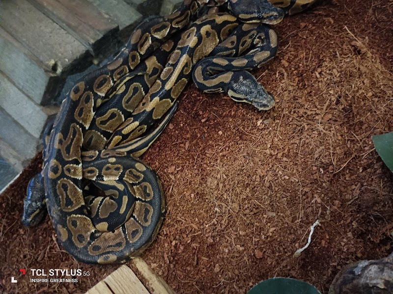 Tropical Fish N More - Photo 3