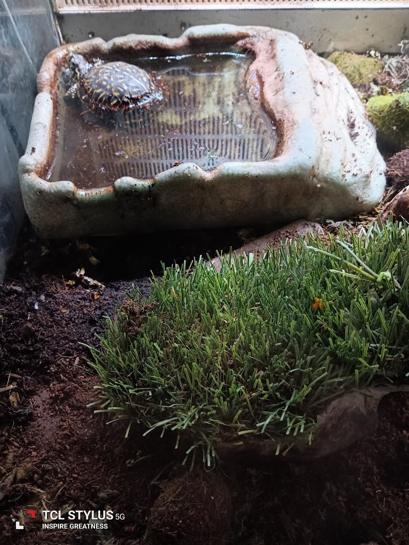 Tropical Fish N More - Photo 5