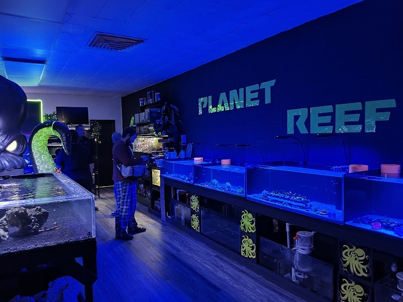 Planet reef - Photo 1