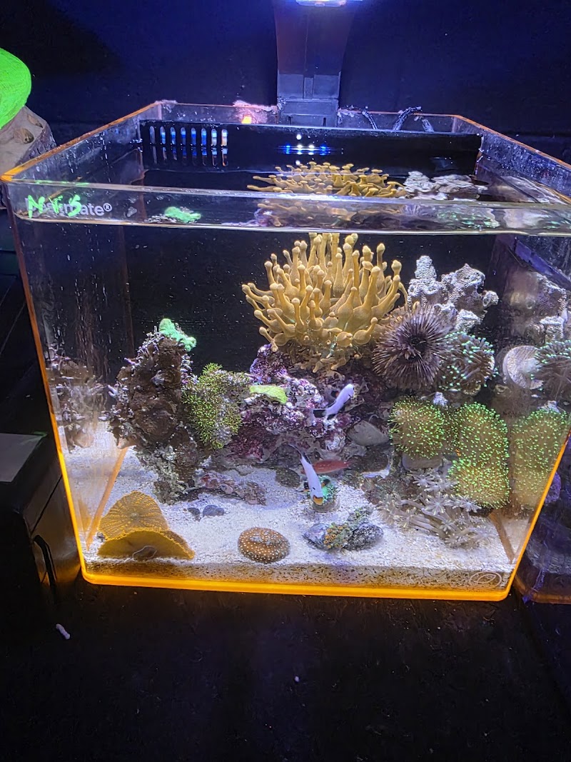 Planet reef - Photo 2