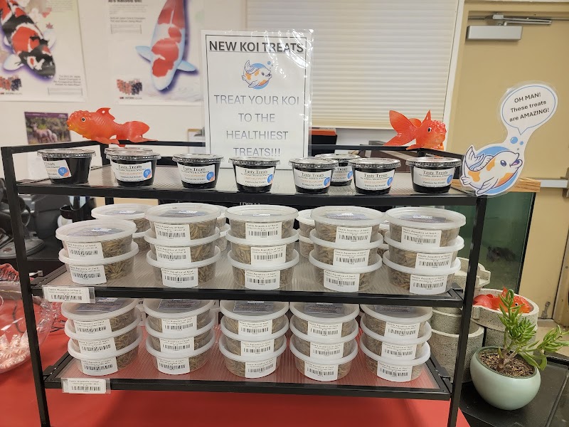 Oasis Aquatics - Photo 5