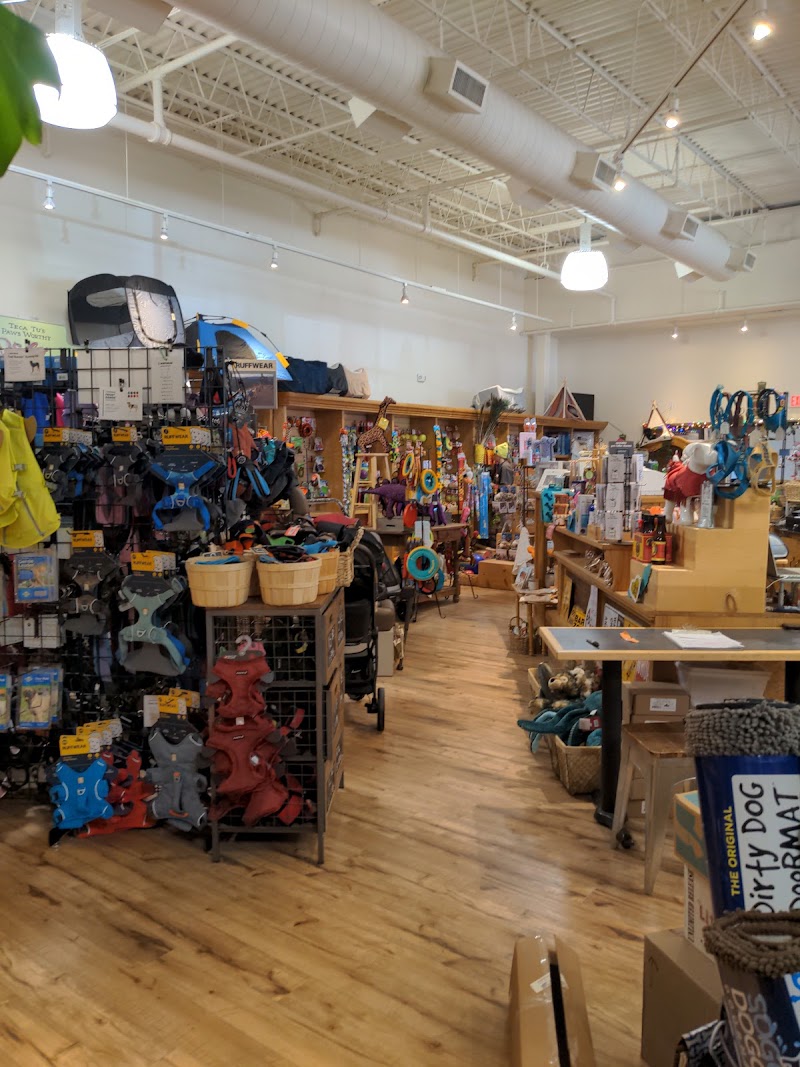 Teca Tu A Pawsworthy Pet Emporium - Photo 3