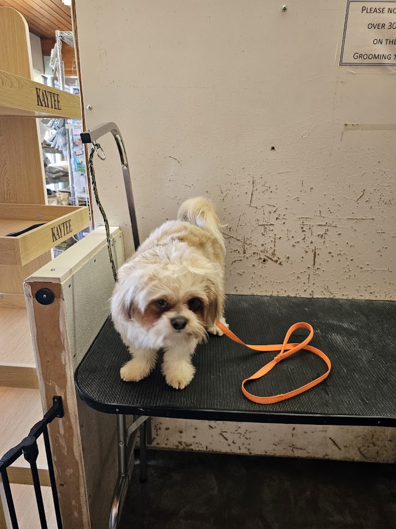 The Critters & Me - Photo 3