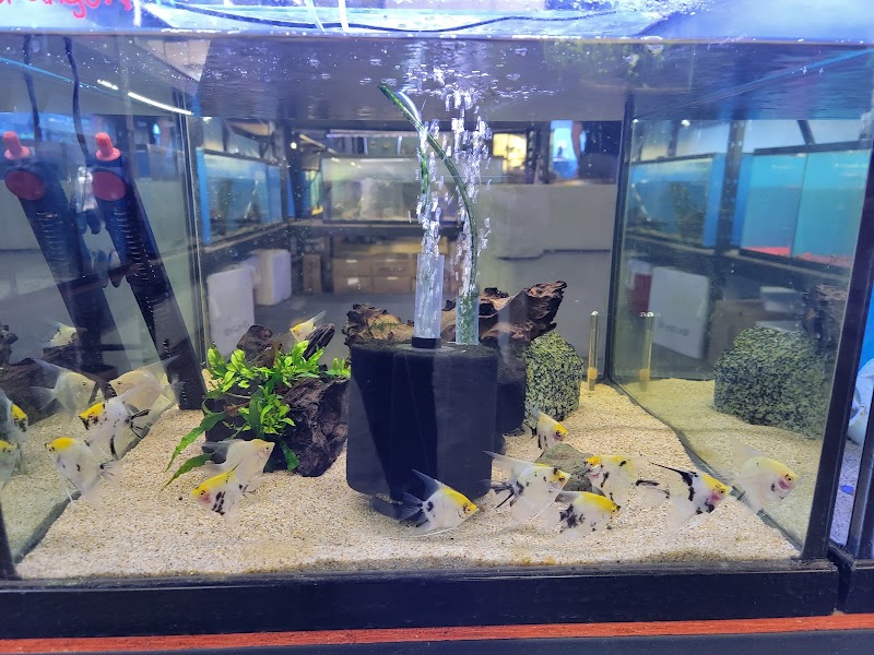 Strictly REEF - Photo 5