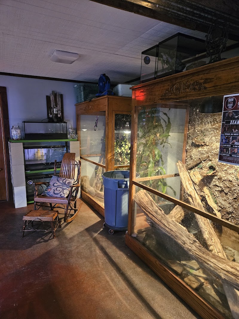 Sounds Fishy Aquatics & Exotics - Photo 2