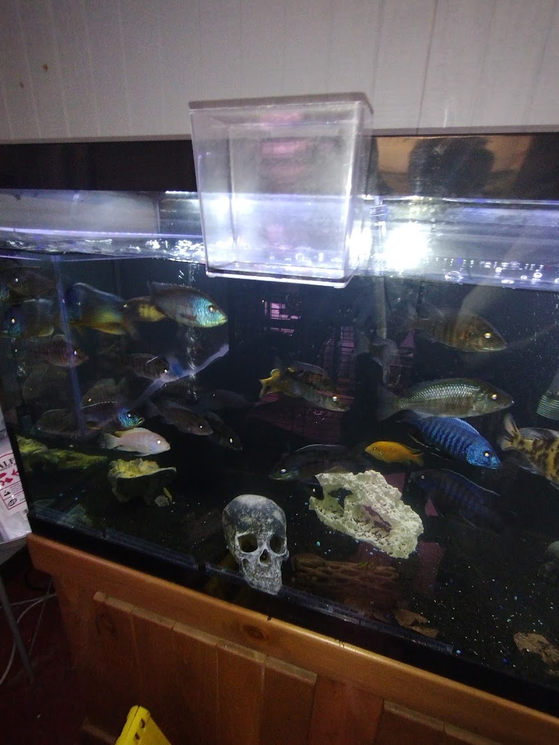 Sounds Fishy Aquatics & Exotics - Photo 3